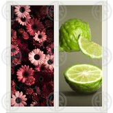 Isfahan Sapphire al Aseel Air Freshener (300ml) Long Lasting Fragrance